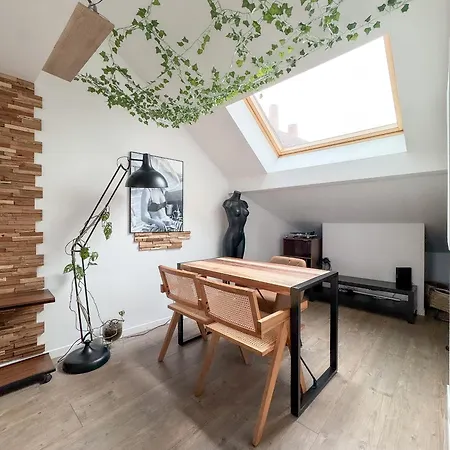 Duplex-centre 아파트 *